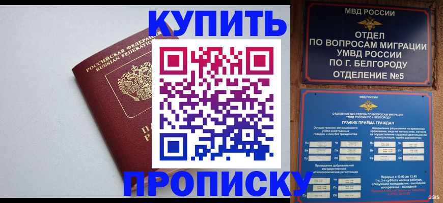 прописка регистрация в Сальске